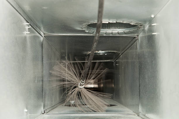 Best Air Duct Sanitizing Services  in New Martinsville, WV