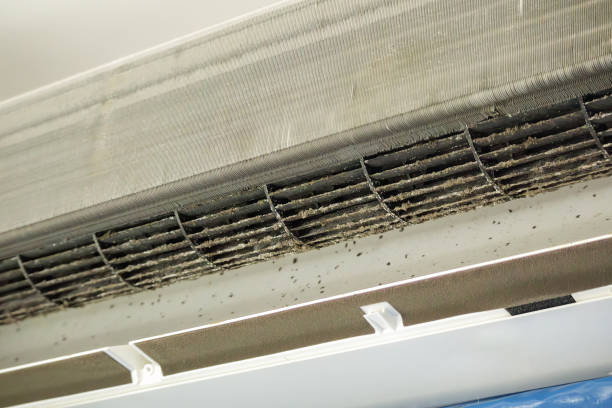 Best Emergency Air Duct Cleaning  in New Martinsville, WV